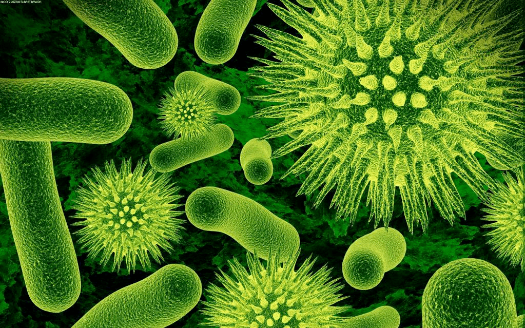 πώς τα βακτήρια εισέρχονται στο σώμα